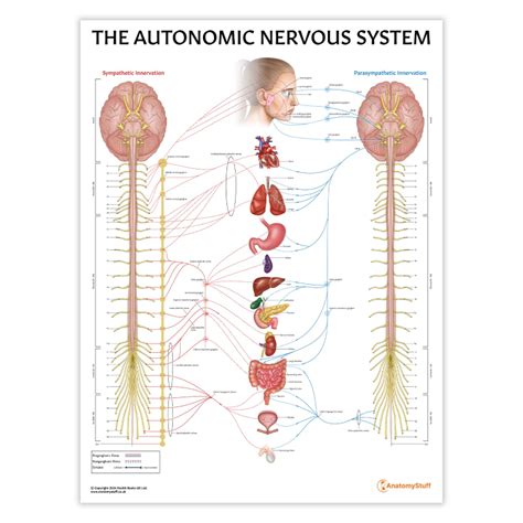 controlling the autonomic nervous system Doc