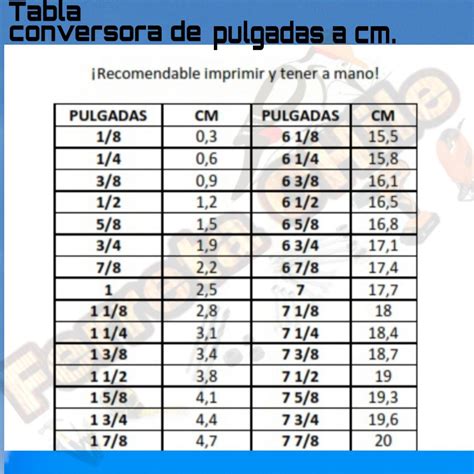 convertidor pulgadas cm