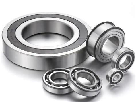 conveyor bearings