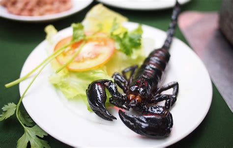 cooked scorpion