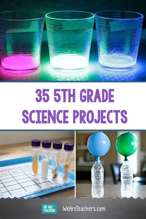 cool easy 5th grade science projects PDF