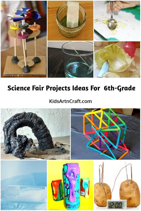 cool science projects 6th graders ideas PDF