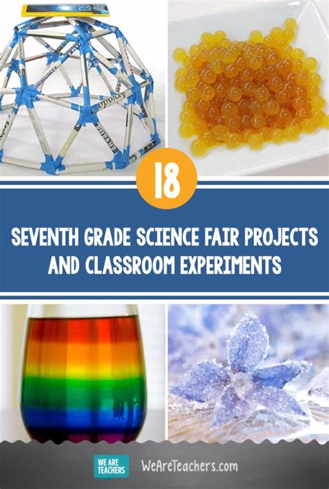 cool seventh grade science experiments PDF