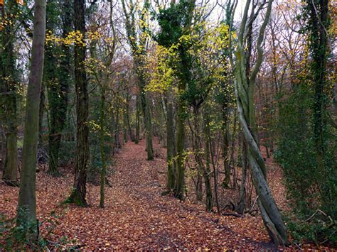 coopers hill gloucestershire