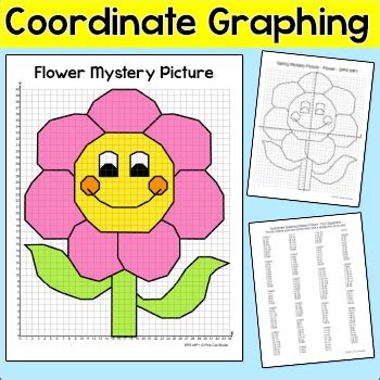 coordinate graph flower pictures Reader
