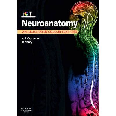 core text neuroanatomy 4e ie pb Epub