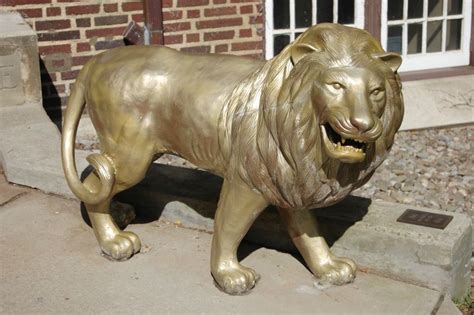 cornell sigma alpha epsilon
