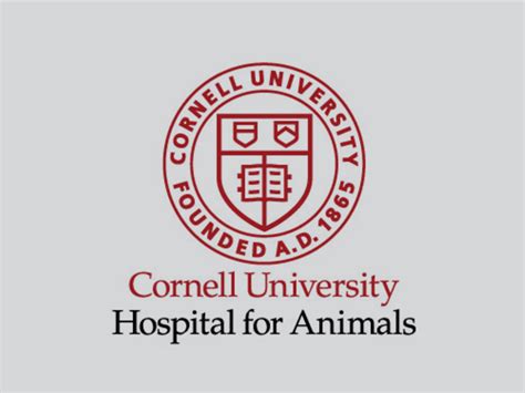 cornell university hospital for animals