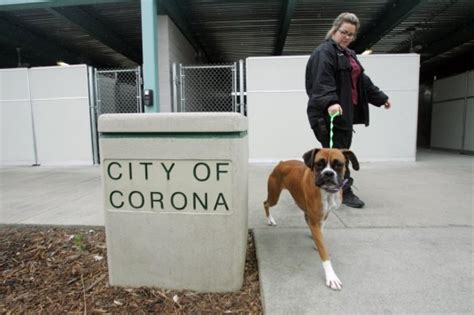 corona animal shelter