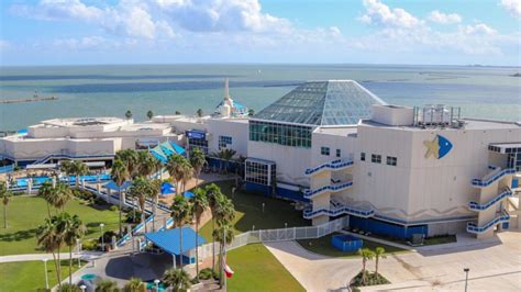 corpus christi texas aquarium