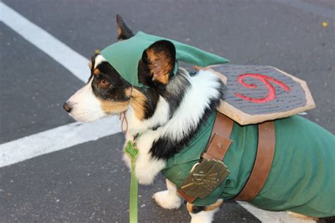 cosplay doggy