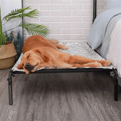 cot dog bed