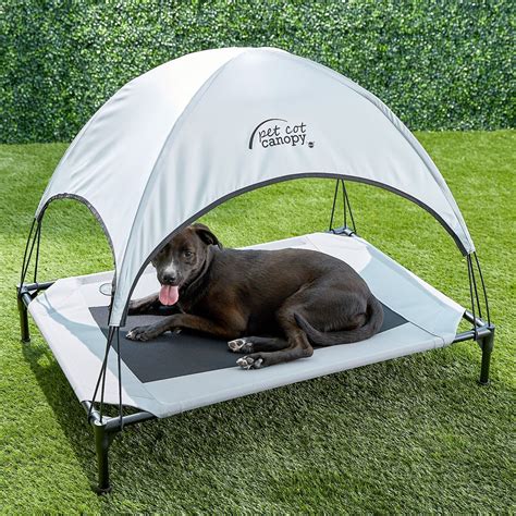 cot for dog