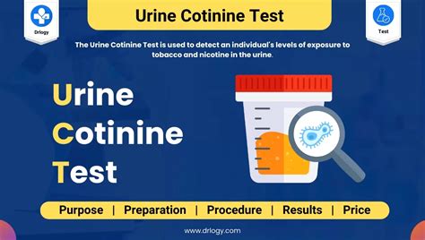 cotinine in urine for how long