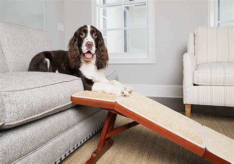 couch dog ramp