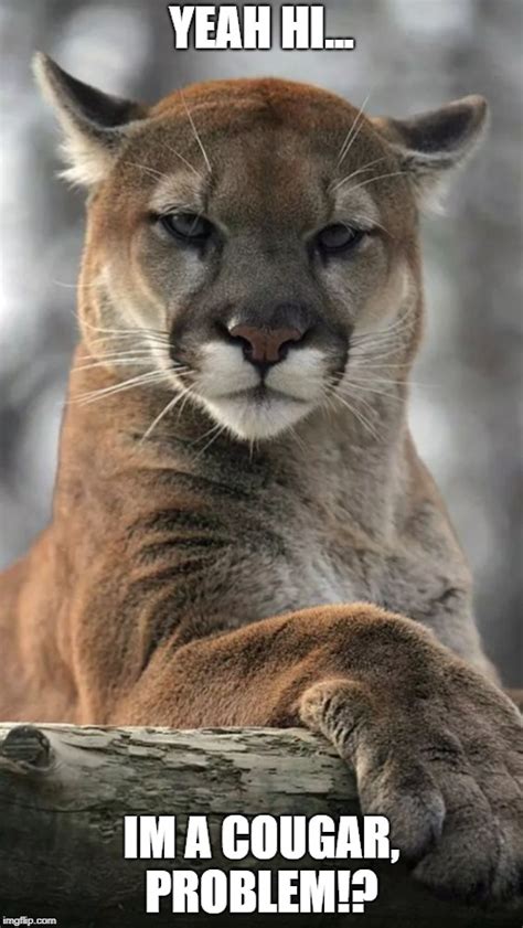 cougar meme