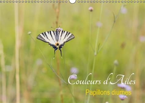 couleurs dailes 2016 papillons diurnes PDF