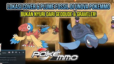 cover fossil vs plume fossil