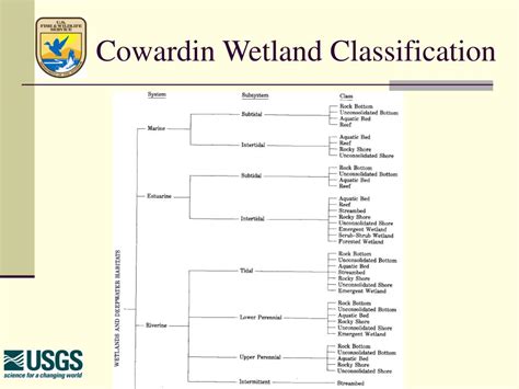 Cowardin Classification Chart