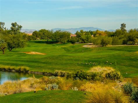 coyote lakes golf club