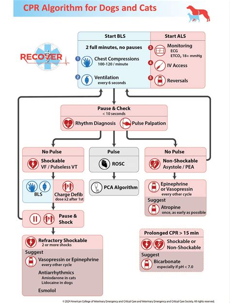cpr guidelines 2012 deutsch Epub