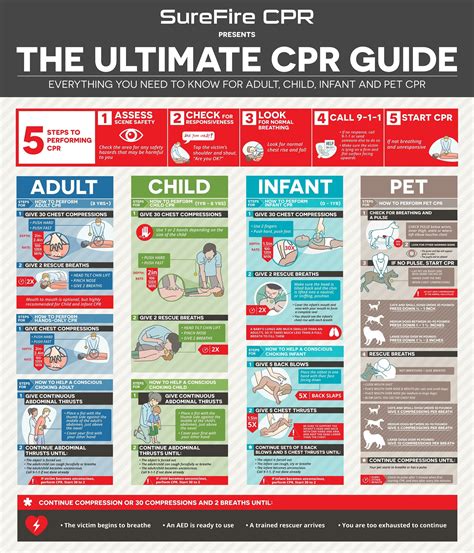 cpr quick reference sheet Kindle Editon