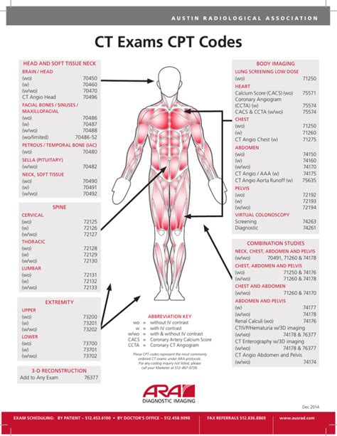 cpt code for body lift PDF