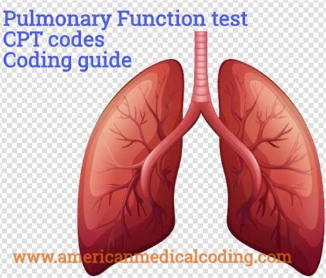 cpt code for pulmonary function test Kindle Editon