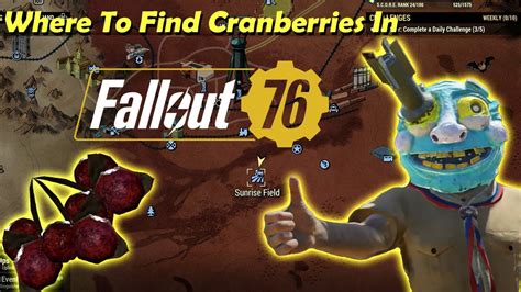 cranberries fallout 76