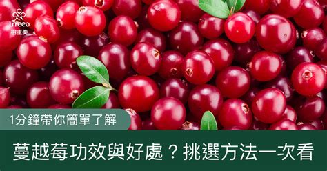 cranberry 功效