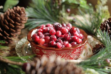 cranberry dishes drinks desserts holidays PDF