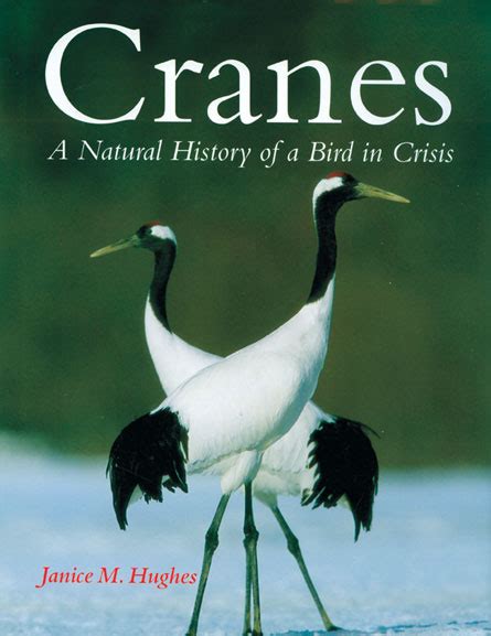cranes a natural history of a bird in crisis Kindle Editon