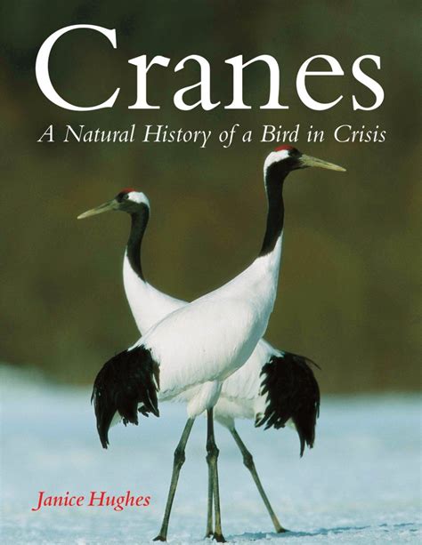 cranes a natural history of a bird in crisis Kindle Editon