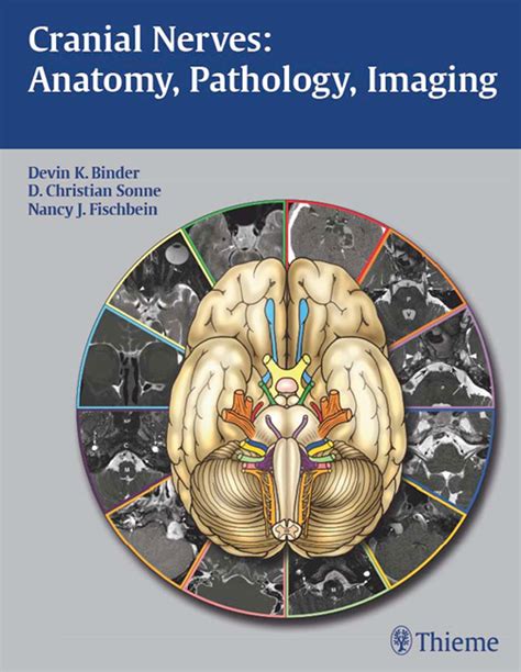 cranial nerves anatomy pathology imaging Kindle Editon