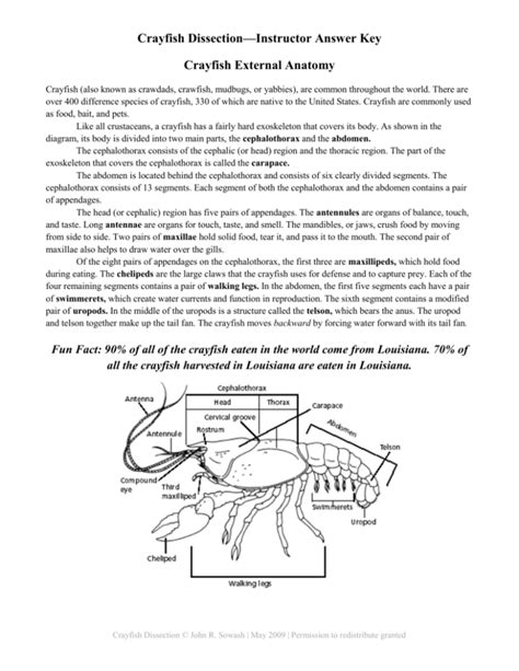 crayfish dissection answer key Epub