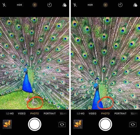 create great iphone photos apps tips tricks and effects Epub