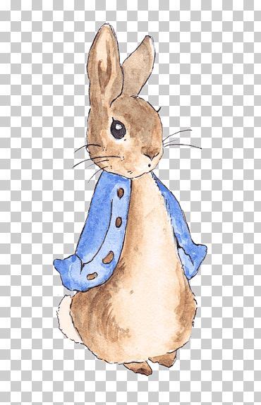 create your own peter rabbit nursery Kindle Editon