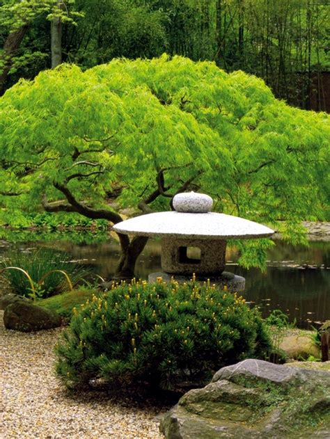 creating japanese garden creating japanese garden Reader