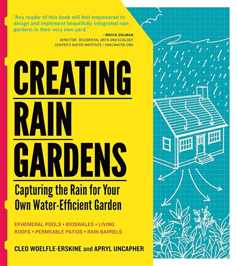 creating rain gardens capturing the rain for your own water efficient garden Kindle Editon