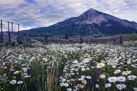 crested butte colorado summer