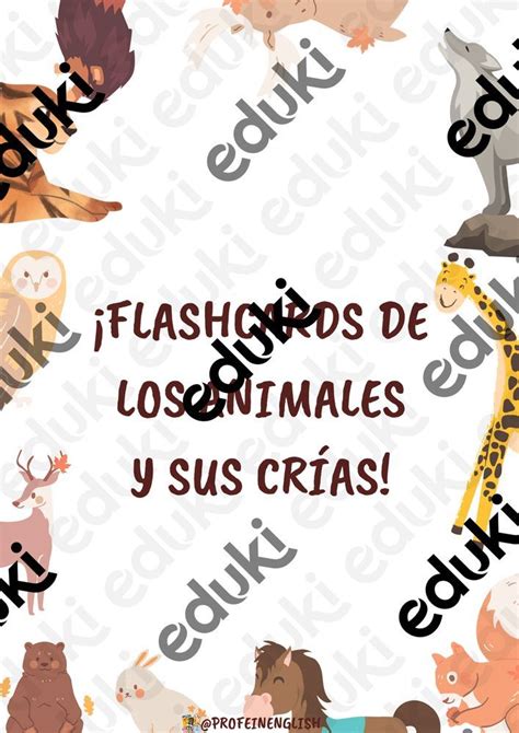 crias de animales happy baby spanish edition Doc