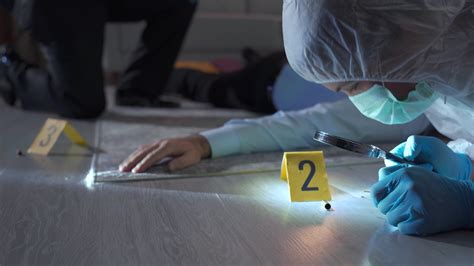 crime scene investigation Epub