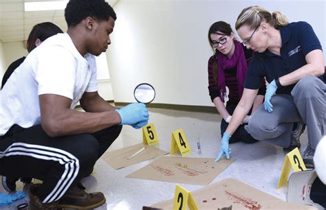 criminal justice/safety studies