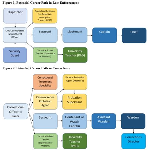 criminal justice career paths