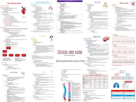 critical care study guide critical care study guide Doc