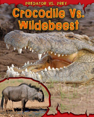 crocodile vs wildebeest predator vs prey PDF