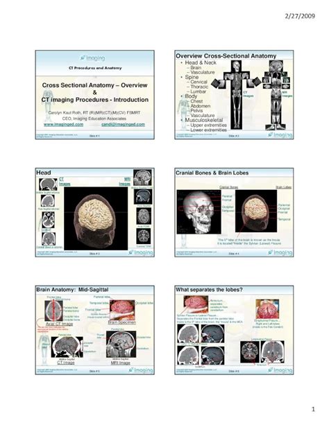 cross sectional anatomy by ct and intro to procedures PDF