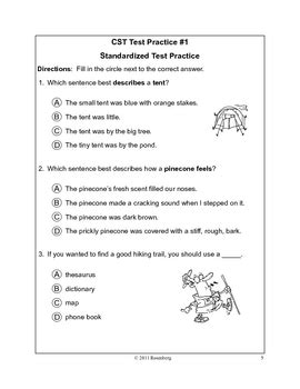 cst test practice second grade Doc