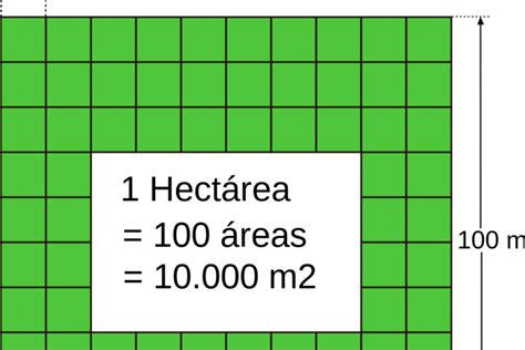 cuantos pies es una hectarea