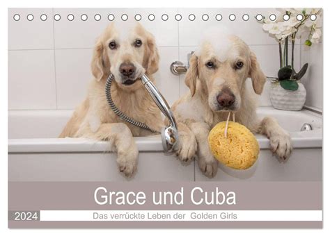 cuba leben 2016 br hne tischkalender PDF